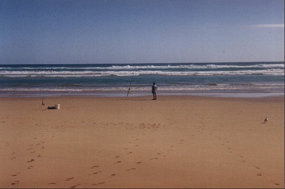 Lone Fisherman on Venus Bay Beach No 1