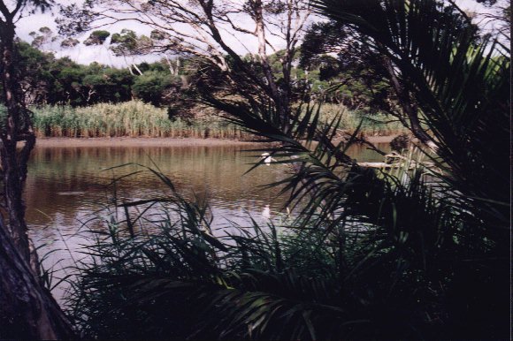 View of the Tarwin River opposite the Motel